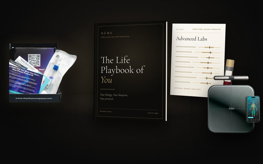 NüME Life Playbook